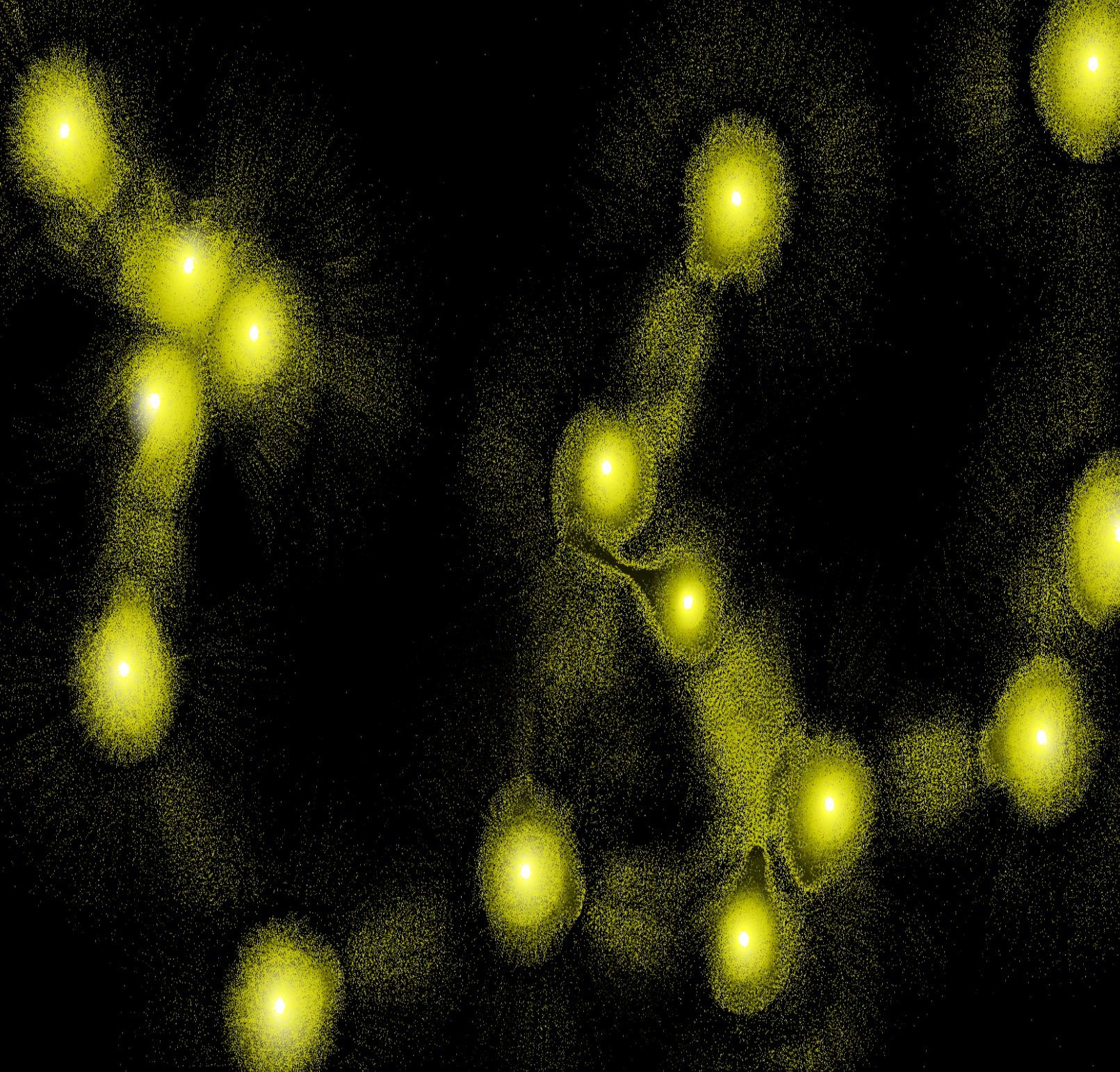 Physarum output in yellow with food displayed