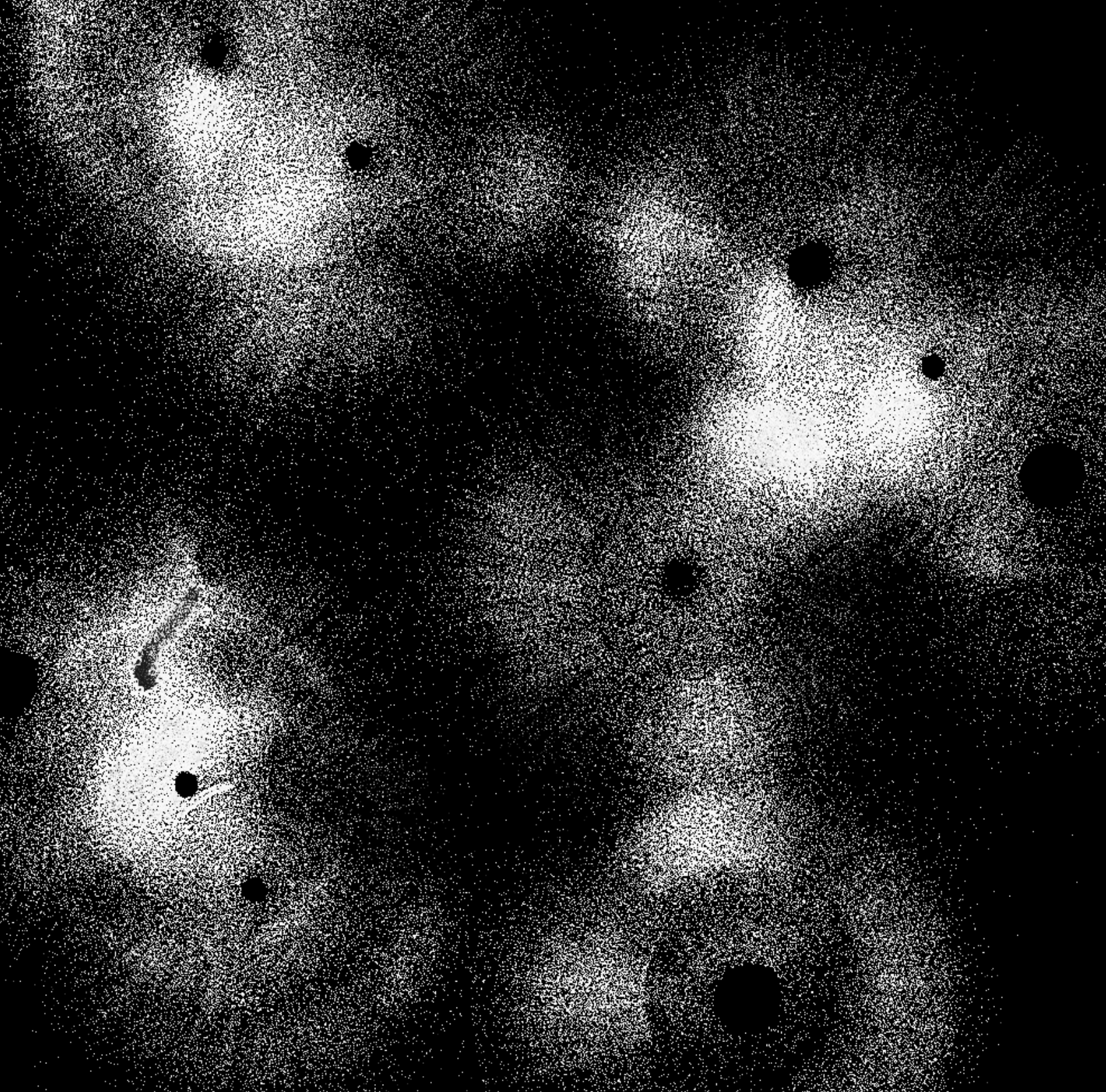 Physarum output in black and white