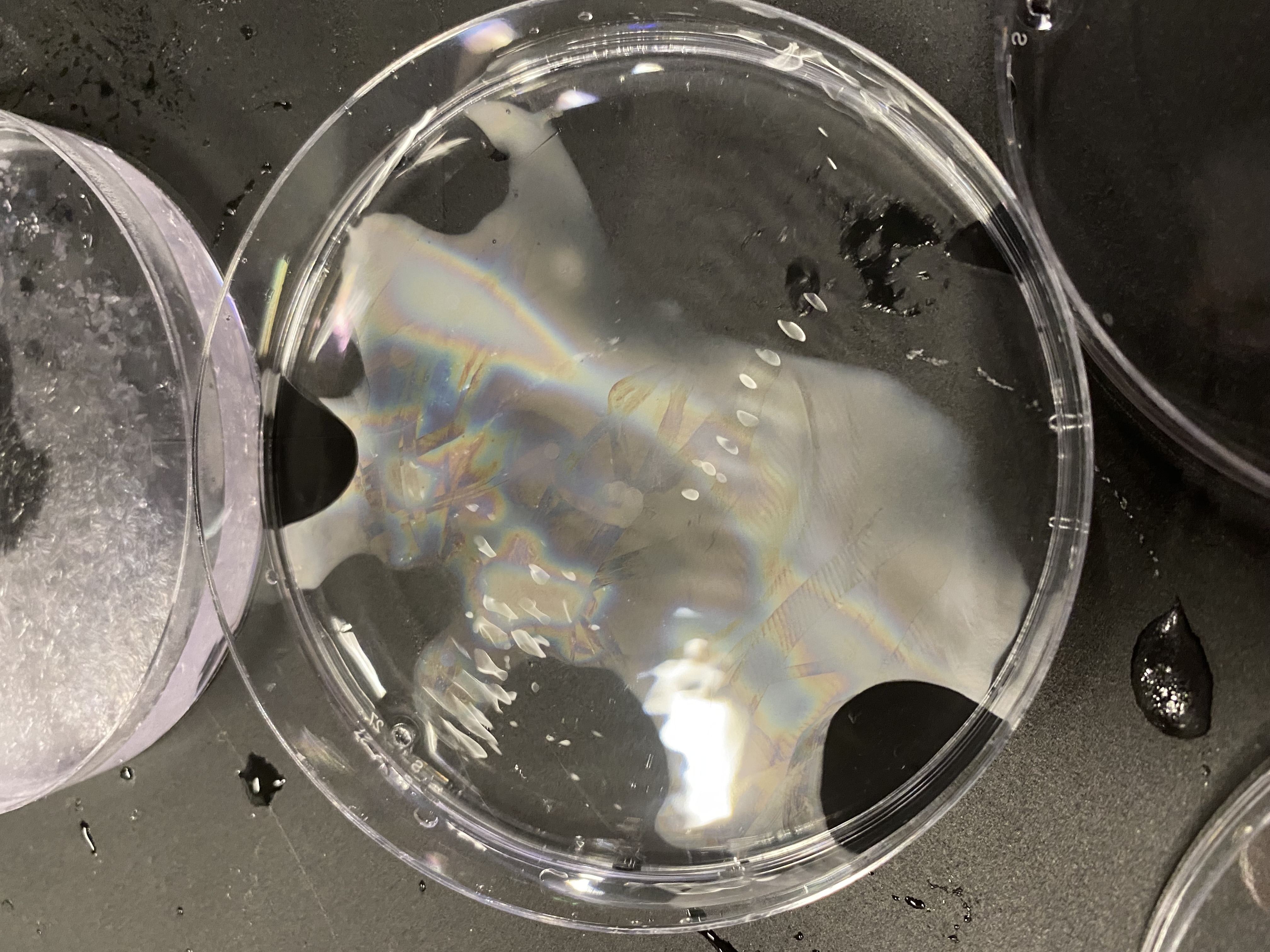 Light bending effects from heat and cymatics in petri dish with water
