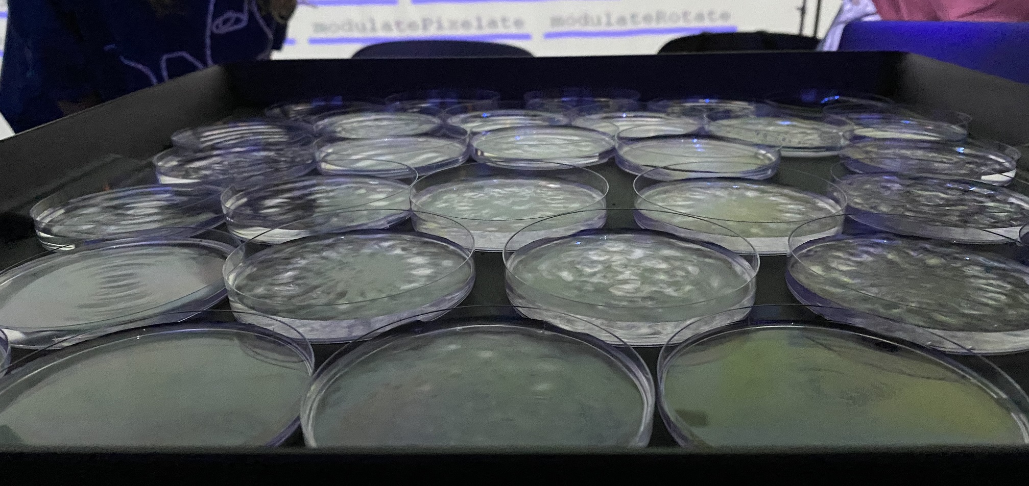 Biofeedback Crystallization Project Thumbnail